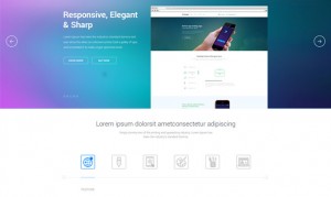 Landingpage