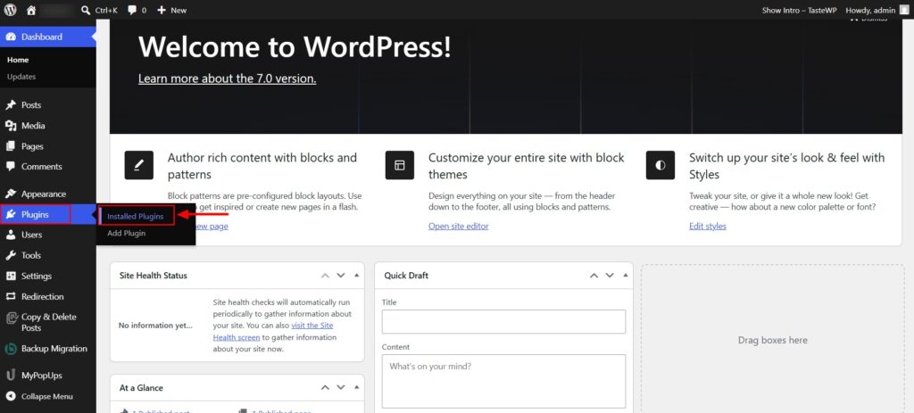 Click Plugins → Add New