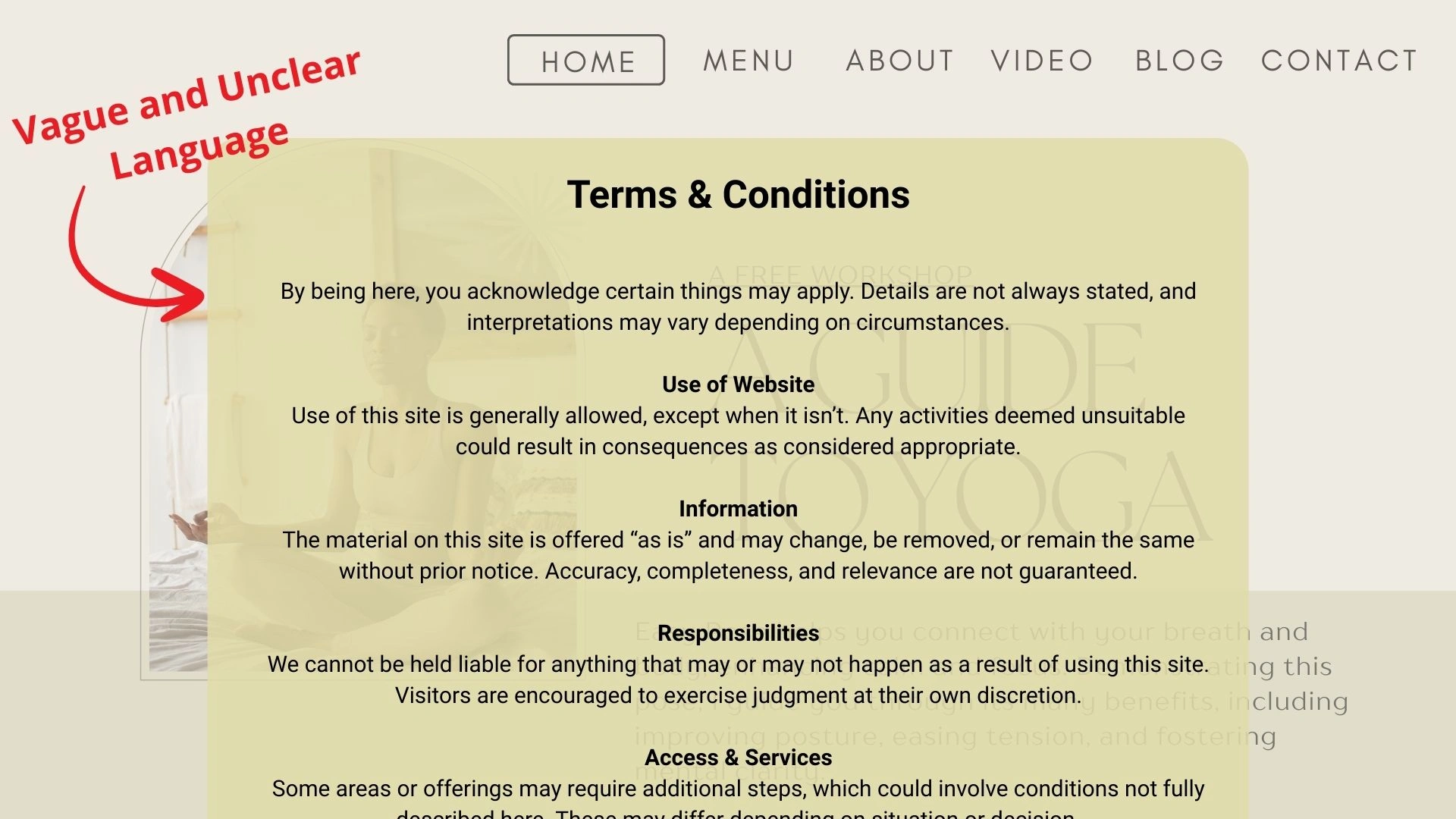 Example of vague and unclear lannguage in T&C page