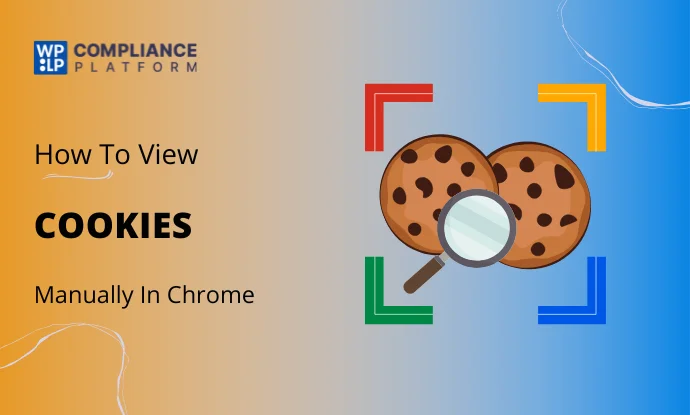 Cookies In Chrome And Other Browsers Manually